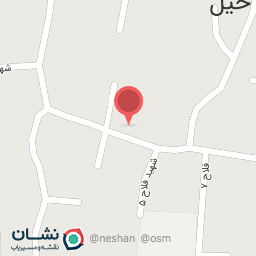 عکس مرغ پرکنی نهاری