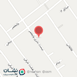 عکس پیتزا لوکات