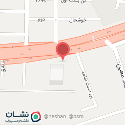 عکس دکتر زهرا آلیانی