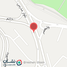 عکس غذاپزی و بیرون بر ثامن