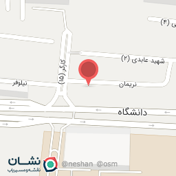 عکس دکتر علی صالح استکی