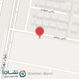 عکس پیتزا ویهان