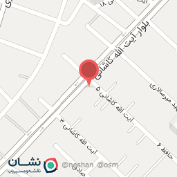 عکس کفش سعید