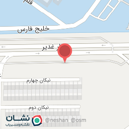 عکس کیف و کفش آلارا