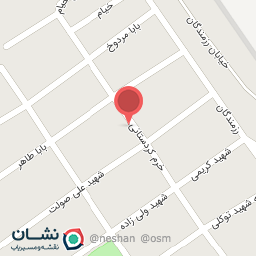 عکس سوپر مارکت نیکان