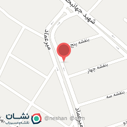 عکس الکترو شارژ پاچین