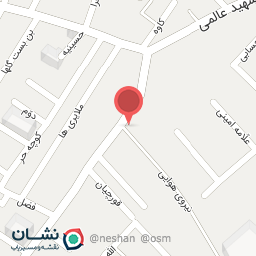 عکس الکتریکی امیرعلی