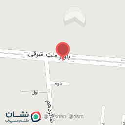 عکس پیتزا پالرمو