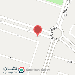 عکس پیتزا نخل 