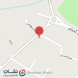 عکس تهیه غذای روژین بیرون بر