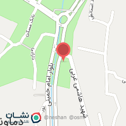 عکس کفش فروشی نگین