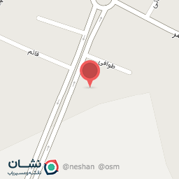 عکس پیتزا مختار