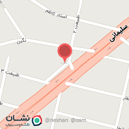 عکس فست فود بیج بیج