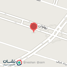 عکس کبابی شف میرزا