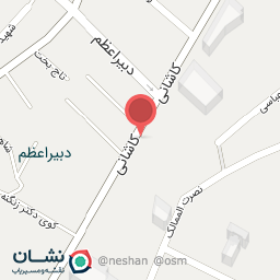 عکس کباب مخصوص متروپل