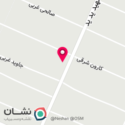 عکس کیف و کفش شیک پوشان