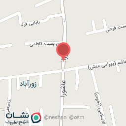 عکس خشکبار تاک