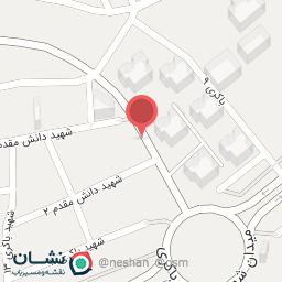 عکس پیتزا زود فود