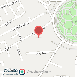 عکس دکتر ویدا رحیمی