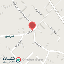 عکس مرغ بریان سرشور