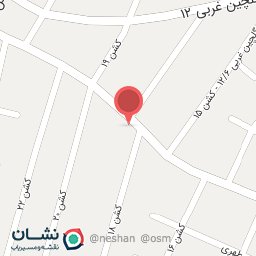 عکس قالیشویی فرش آرا