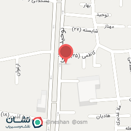 عکس آسانسور ارگ