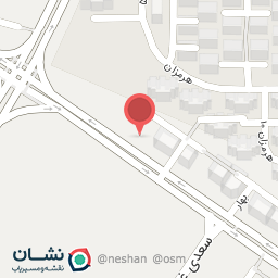 عکس لاویا برگر