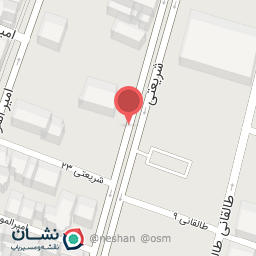 عکس ذغالی برگر شامینا