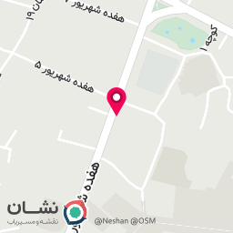 عکس کیف و کفش قانع