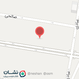 عکس دکتر نسیم مردانی