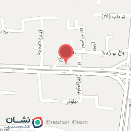 عکس فیزیوتراپی رادمهر