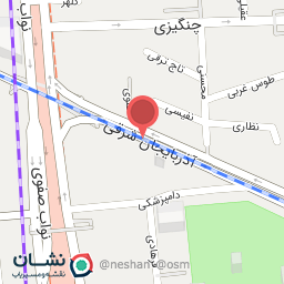 عکس آرین پرولند (سوپر گوشت مهرداد) 