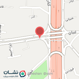 عکس تهیه غذای آقای چلو