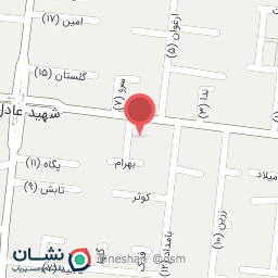 عکس فراورده لبنی امیرعلی