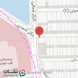 عکس پیتزا آیدا