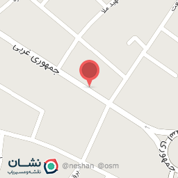 عکس یکبار مصرف پویا