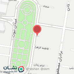 عکس اجاره ون تشریفاتی پارس ون