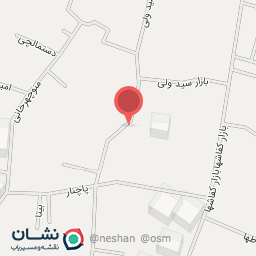 عکس فروشگاه چرم سانا 