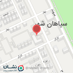 عکس سبزیجات آماده نگین