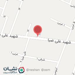 عکس فست فود شوکا