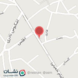 عکس شیرینی کاکتوس