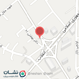 عکس پیتزا و ساندویچ پانیذ