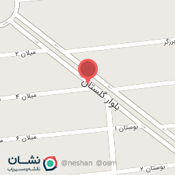 عکس قصابی مرغ و گوشت