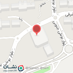 عکس پیتزا کاج