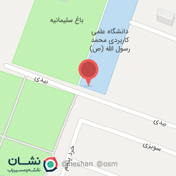 عکس چاپ دیجیتال ثامن الحجج (ع)