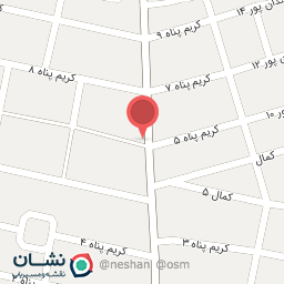 عکس مکانیکی فداییان