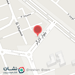 عکس مکانیکی استاد سعید