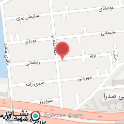 عکس اسباب بازی بهار