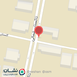 عکس شرکت توزینگر