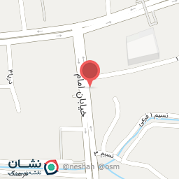 عکس طلا و جواهری پرنس